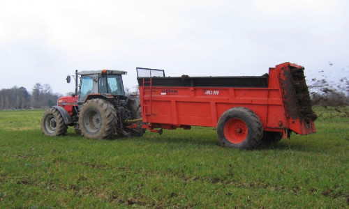 Maïs fourrage Les engrais de ferme sont précieux pour réduire les coûts de production
