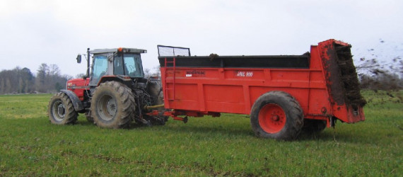 Maïs fourrage Les engrais de ferme sont précieux pour réduire les coûts de production
