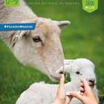 Concours Affiches Tech-Ovin 2021 - résultats