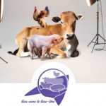 Participez au concours photo sur le bien-être des animaux d'élevage avec la Chambre d'Agriculture de Bretagne