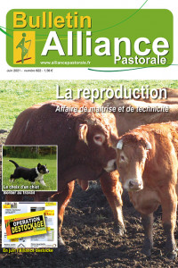 Bulletin de l'Alliance Pastorale N922 - Juin 2021