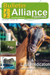Bulletin de l'Alliance Pastorale N°923 - Juillet-Août 2021