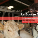 Ouverture des candidatures à la Bourse Nuffield 2022