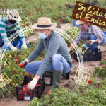 Concours Graines d'Agriculteurs 2021 : votez pour votre jeune agriculteur préféré !