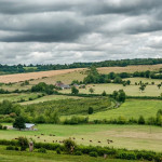 86 opérateurs sélectionnés et engagés avec le Fonds pour l’Arbre pour démultiplier les projets locaux en faveur de l’arbre