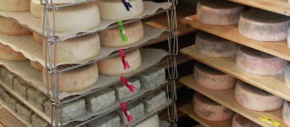 Donnez  du caractère  à vos fromages