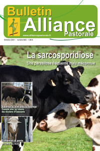 Bulletin de l'Alliance Pastorale N°925 - Octobre 2021