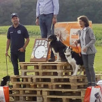 Coupe de France Border Collie  2021