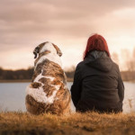 Mémoire et animaux : nos animaux de compagnie ont-ils une mémoire ?