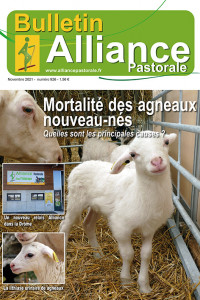 Bulletin de l'Alliance Pastorale N°926 - Novembre 2021