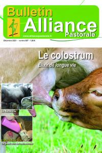 Bulletin Alliance Pastorale N°927 - Décembre 2021