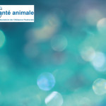 Prendre la température des animaux : un geste indispensable  pour poser un diagnostic !