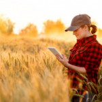 Concours AGRETIC, les innovations au croisement des filières numériques & agri-agro : prolongation du dépôt des candidatures pour les entreprises !
