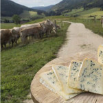 Son Bleu, sa Villarde, son Barraquand :  La fierté du Parc du Vercors