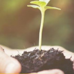 Formation - Le MOOC BIO actualisé avec la nouvelle règlementation européenne sur l'agriculture biologique
