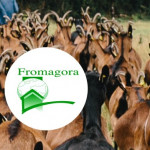 Lancement des inscriptions pour Fromagora 2022 !