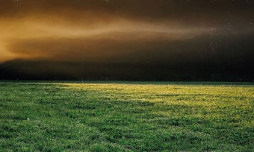 Non ! Chauler une prairie n’améliore pas toujours  la disponibilité des éléments minéraux