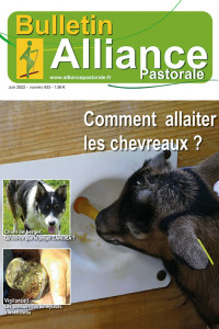 Bulletin de l'Alliance Pastorale N°933 - Juin 2022