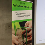 Bordeaux Sciences Agro, l’université de Bordeaux et INRAE lancent la Chaire Agriculture Biologique pour valoriser et développer la filière bio