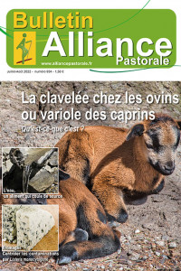 Bulletin de l'Alliance Pastorale N°934 - Juillet-Août 2022