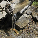 En direct de chez nos fournisseurs  L’eau, un aliment qui coule de source
