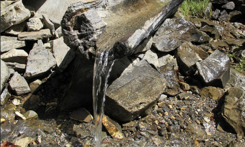 En direct de chez nos fournisseurs  L’eau, un aliment qui coule de source