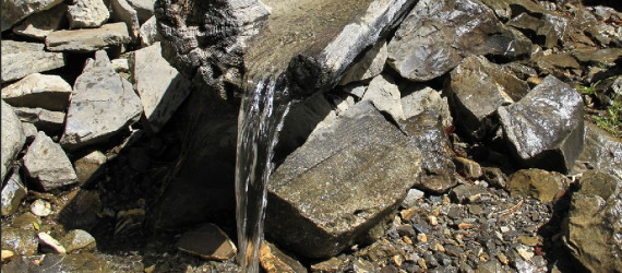 En direct de chez nos fournisseurs  L’eau, un aliment qui coule de source