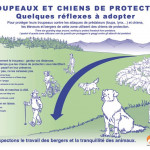 Chiens de protection des troupeaux : questionnaire sur les panneaux - PARTCIPEZ SVP