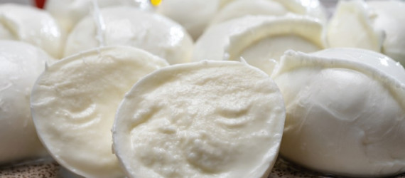 Contrôler les contaminations par Listeria monocytogenes en technologies fromagères