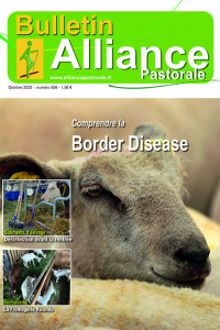 Bulletin de l'Alliance Pastorale N°963 - Octobre 2022