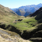 OURS | Le gouvernement interpellé par la Présidente du Département de l'Ariège et les représentants des éleveurs