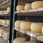 « La Fromagerie Rwanda »,  un petit projet devenu grand