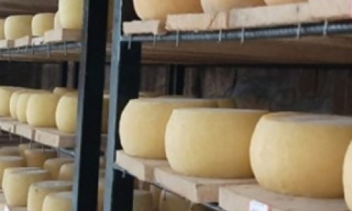 « La Fromagerie Rwanda »,  un petit projet devenu grand