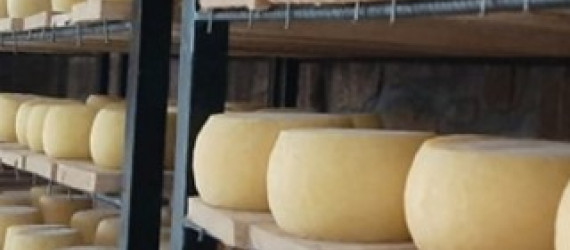 « La Fromagerie Rwanda »,  un petit projet devenu grand