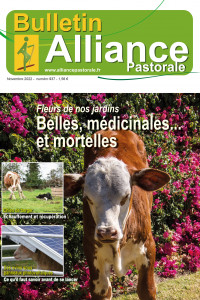Bulletin de l'Alliance Pastorale N° 937 - Novembre 2022