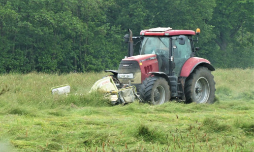 Mélanges de semences  pour prairie de longue durée Règles de composition  et préconisation  agronomiques