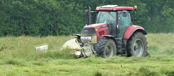 Mélanges de semences  pour prairie de longue durée Règles de composition  et préconisation  agronomiques