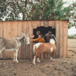 Fermes En ViE recherche de nouveaux agriculteurs pour reprendre 5 exploitations en agroécologie
