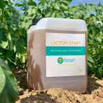 Un engrais à base d’urine humaine commercialisé