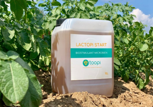 © Toopi Organics - © Toopi Organics -