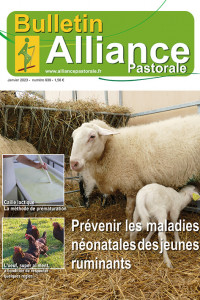 Bulletin de Alliance Pastorale N°939 - Janvier 2023