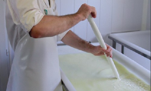 La prématuration,  une manière  de fabriquer un caillé lactique