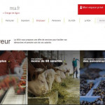 Nouvelle page d’accueil de rubrique employeur de msa.fr