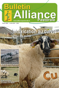 Bulletin de l'Alliance Pastorale N°940 - Février 2023