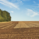 La moitié du phosphore disponible présent dans les sols agricoles au niveau mondial provient des engrais minéraux