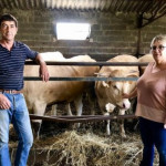 Documentaire inédit - L'amour vache