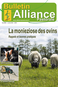 Bulletin de l'Alliance Pastorale N°943 - Mai 2023