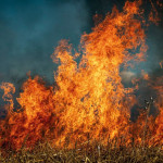 Des sanctions plus sévères en cas de non débroussaillement des terrains en zones à risques d’incendies