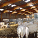 La ventilation des bâtiments d’élevage