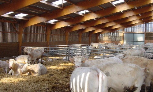 La ventilation des bâtiments d’élevage